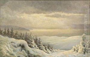 Winter Landscape