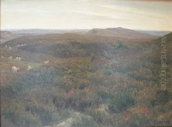 Landscape Of Rolling Hills Dotted With Sheep - view 1