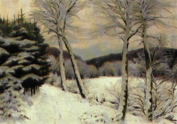 Skovparti, Vinter - view 1