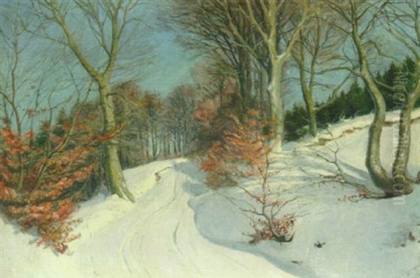 Vinterdag I Skoven - view 1