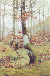 Spatherbst Im Wald by Hans Mortensen Agersnap