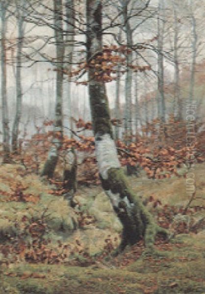 Herbst - view 1