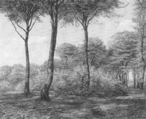 Skovlysning Med Kvas by Hans Mortensen Agersnap