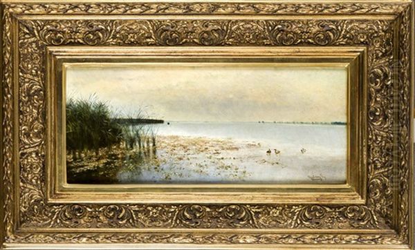 Seeuferpartie Mit Enten - view 1