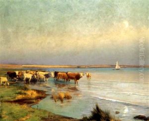 Tehenek A Balaton-parton (cows By The Lake Balaton)
