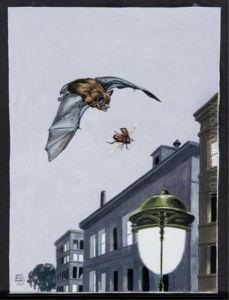 Bat Chasing After Fly On City Street by Jacob Bates Abbott