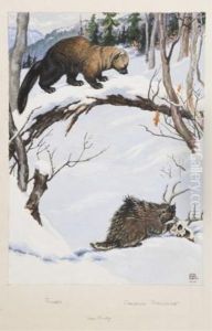 Fisher And Porcupine by Jacob Bates Abbott