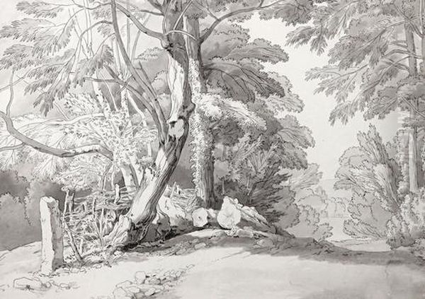 Near Chudleigh - view 1