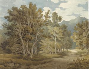 Gowbarrow Park, Ullswater, Cumbria by John White Abbott