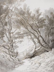 A Woodland Path At Fordland, Nearexeter, Devon by John White Abbott
