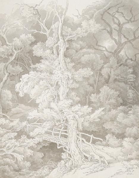 Fordland - view 1