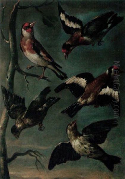 Study Of Goldcrests And Finches - view 1