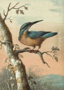 Eisvogel Auf Einem Winterlich Kahlen Ast by Christoph Ludwig Agricola