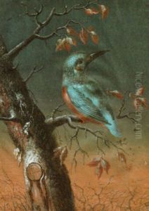 Ein Eisvogel Auf Einem Ast
