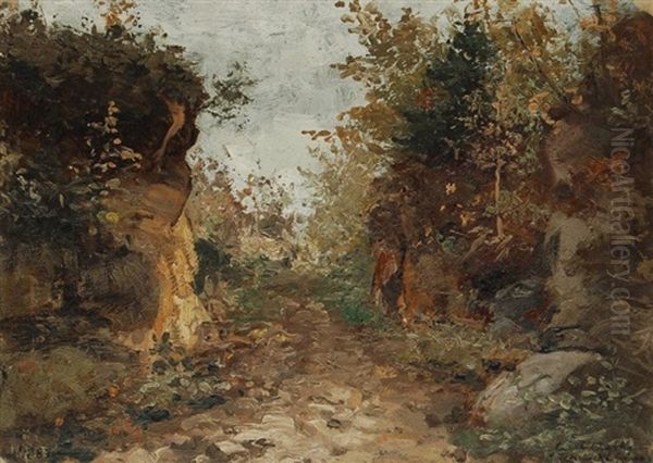Regenstimmung In Der Sachsische Schweiz - view 1