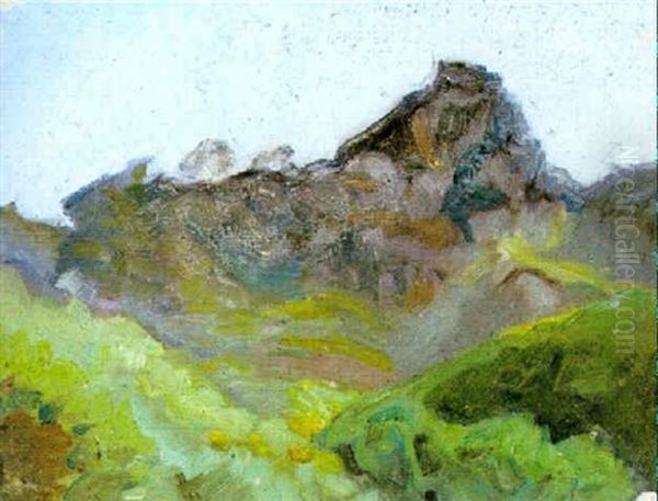 Bergslandskap - view 1