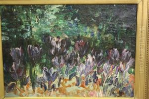 Les Crocus
