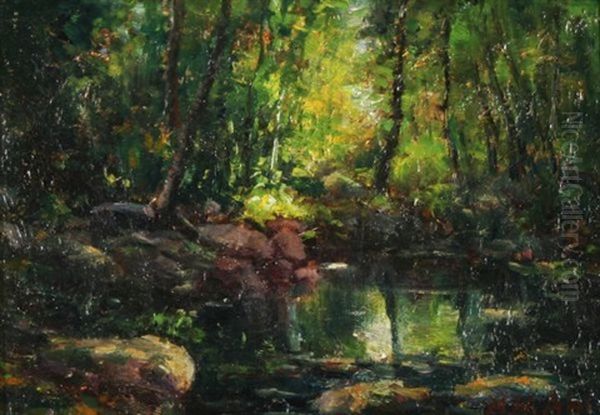 Woodland Brook - view 1