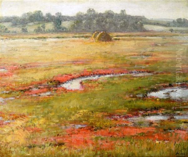 A Marsh In Bloom With Haystacks In The Distance - view 1