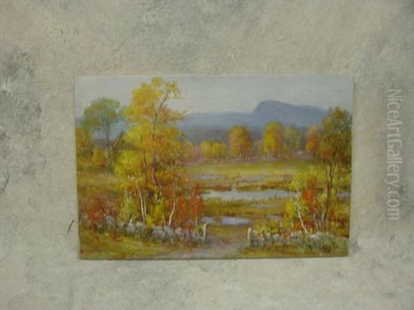 Indian Mound Hill, Southampton, Nh - view 1