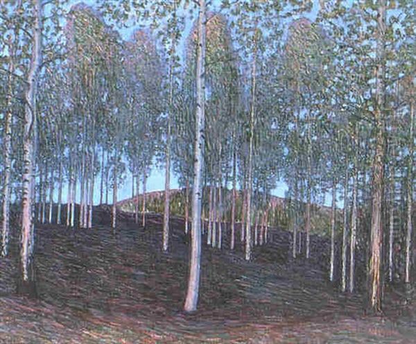 Varlandskap - view 1