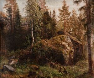 In The Forest by Fredrik Ahlstedt