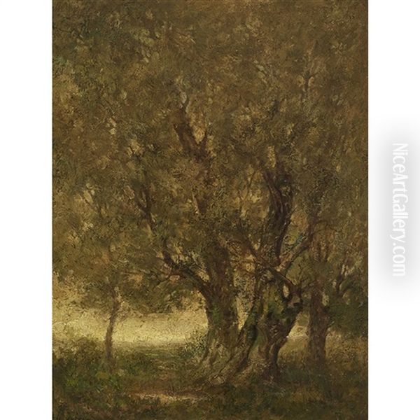 The Old Beech Tree - view 1