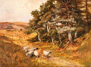 Schottische Landschaft Mit Schafen by George W. Aikman