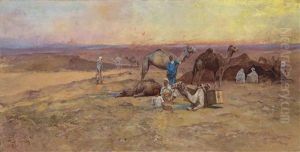 Resting In The Desert