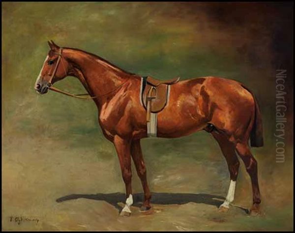 Race Horse - view 1
