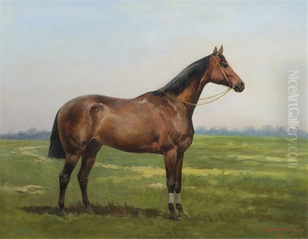 Race Horse - view 1