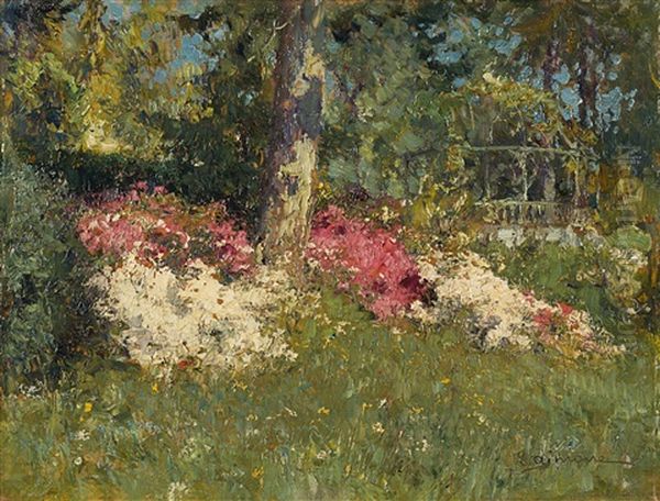 Azalee In Fiore, Baveno - view 1