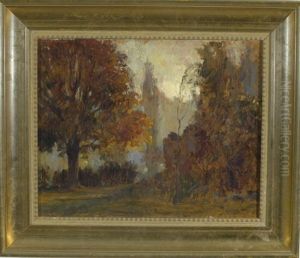 Dunstige Parklandschaft Mit Herbstbaumen