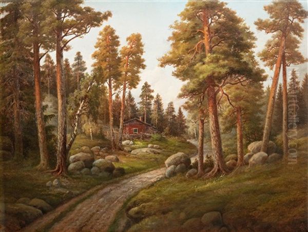 Midsummer At Uusimaa - view 1