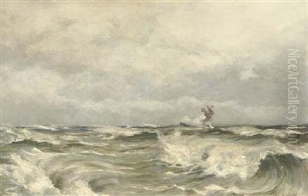 A Panoramic Seascape - view 1