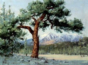 Landscape Landscape