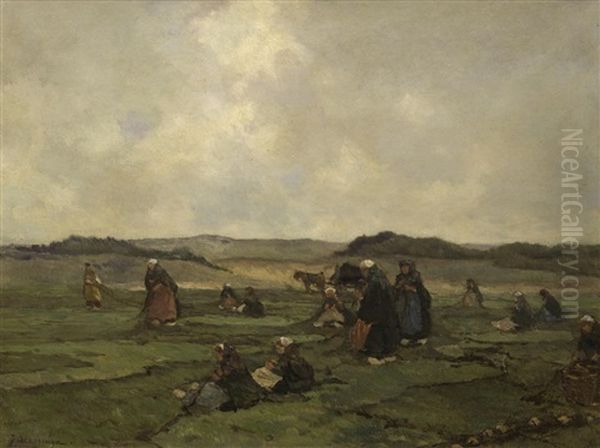 Nettenboetsers Aan Het Strand - view 1