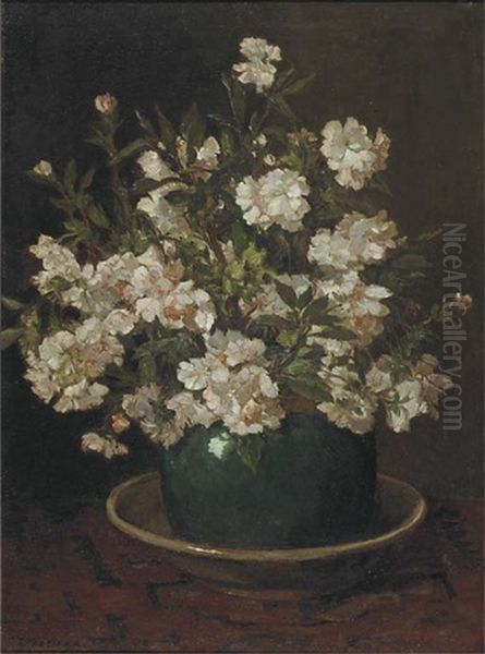 Azalea In An Earthenware Pot - view 1