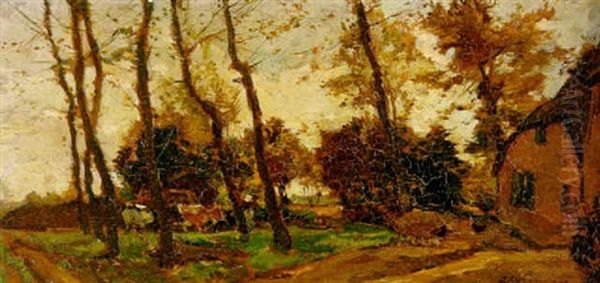 Herbstlandschaft - view 1