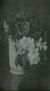 Christmas Roses
