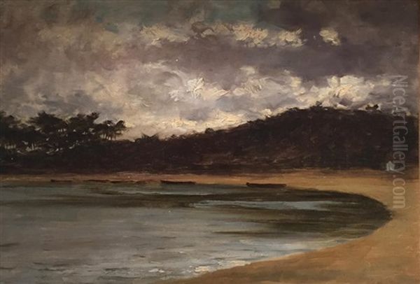 Bord De Plage Par Temps Gris - view 1