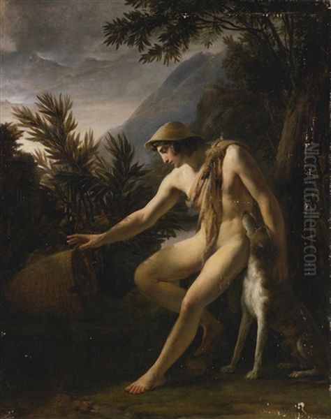 Narcisse - view 1