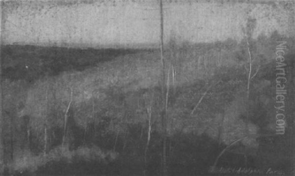 Golden Trees - view 1