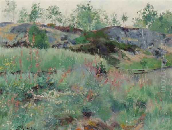 Blommande Landskap - view 1