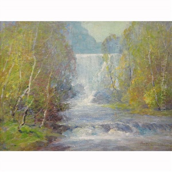 Birches And Waterfall - view 1