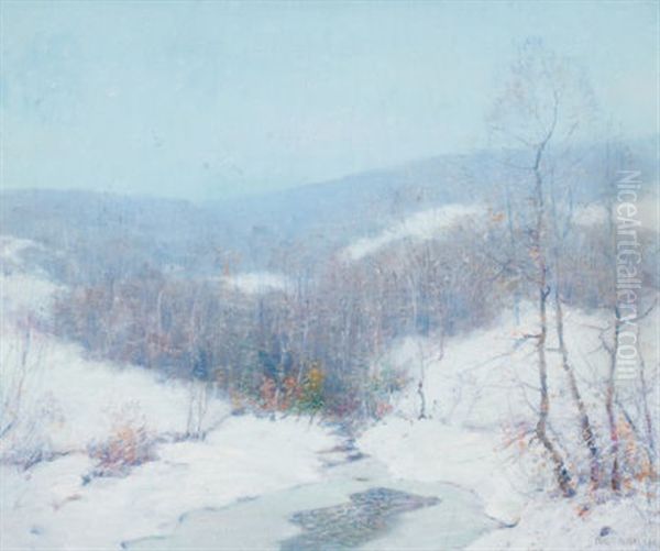 A White Winter's Blanket - view 1