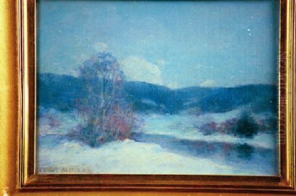 River Snowscene - view 1