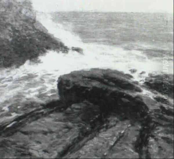The Maine Coast - view 1