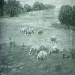 Grazing Sheep Grazing Sheep