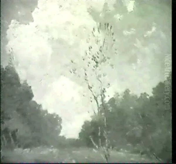 Spring Clouds - view 1